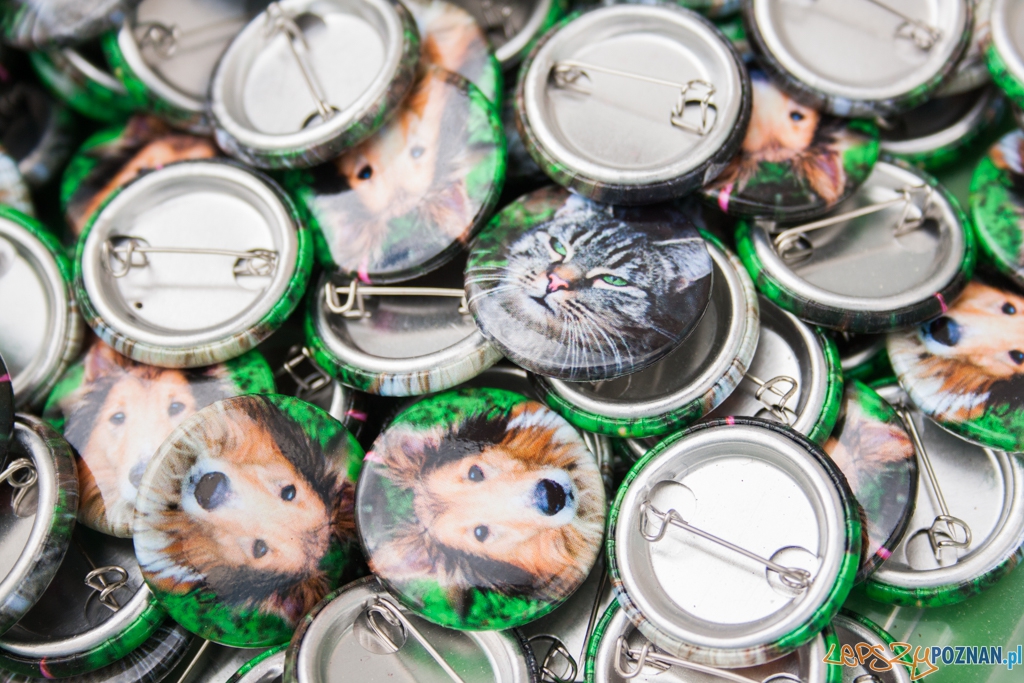 51. urodziny schroniska w Poznaniu (30.05.2015) Foto: © Karolina Kiraga 51. urodziny schroniska w Poznaniu (30.05.2015) Foto: © Karolina Kiraga