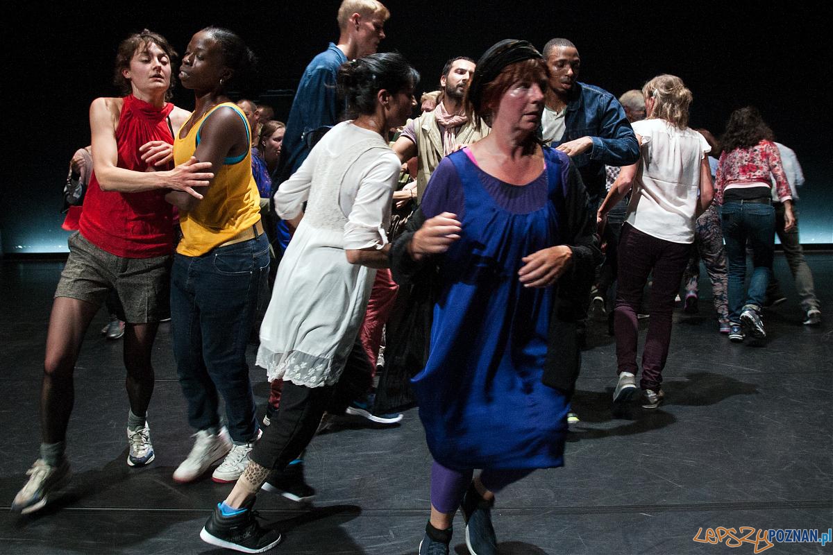 Schwalbe  Foto: Arno Bosma / materiały prasowe