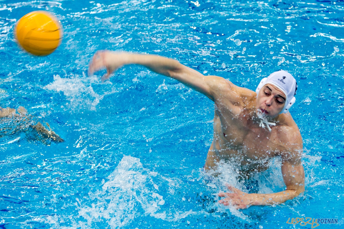 DSW Waterpolo Poznań - UKPW Legia Warszawa Foto: lepszyPOZNAN.pl / Piotr Rychter DSW Waterpolo Poznań - UKPW Legia Warszawa Foto: lepszyPOZNAN.pl / Piotr Rychter