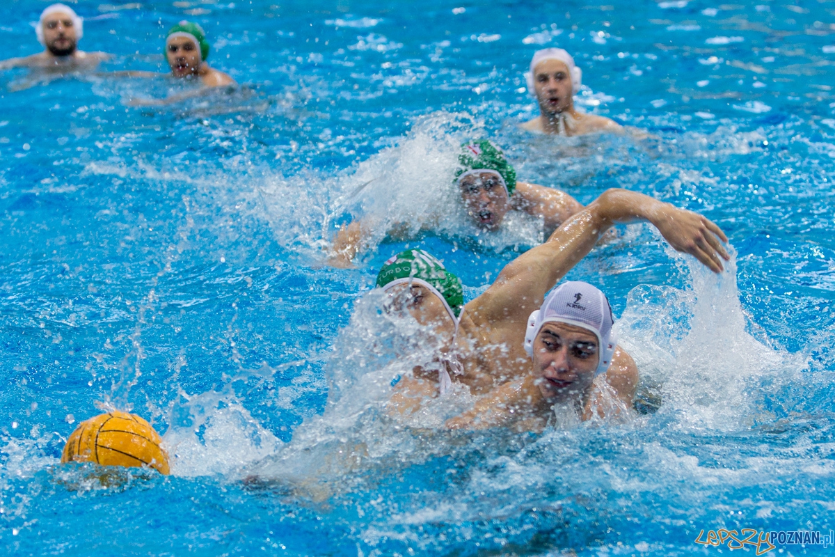DSW Waterpolo Poznań - UKPW Legia Warszawa Foto: lepszyPOZNAN.pl / Piotr Rychter DSW Waterpolo Poznań - UKPW Legia Warszawa Foto: lepszyPOZNAN.pl / Piotr Rychter