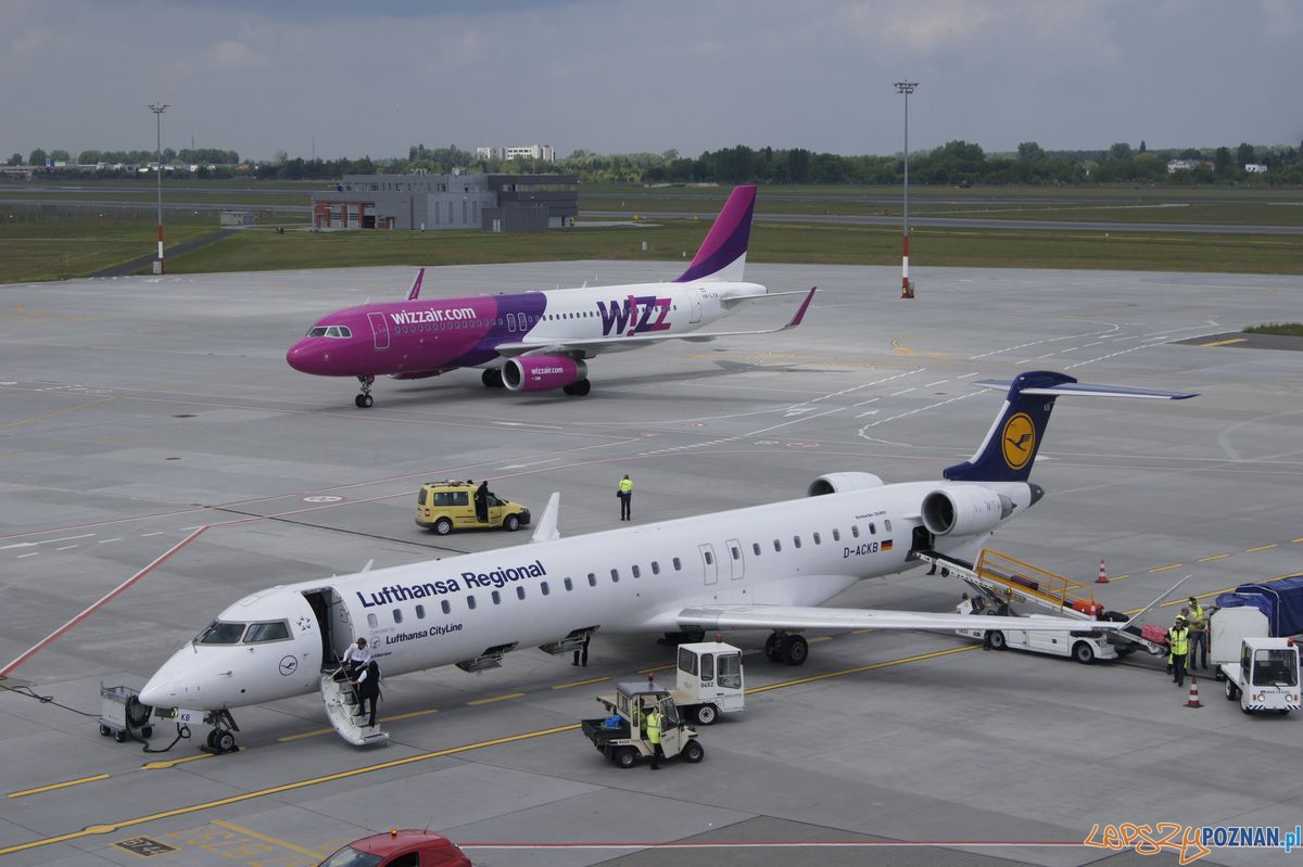 Ławica - samoloty  Foto: materiały prasowe