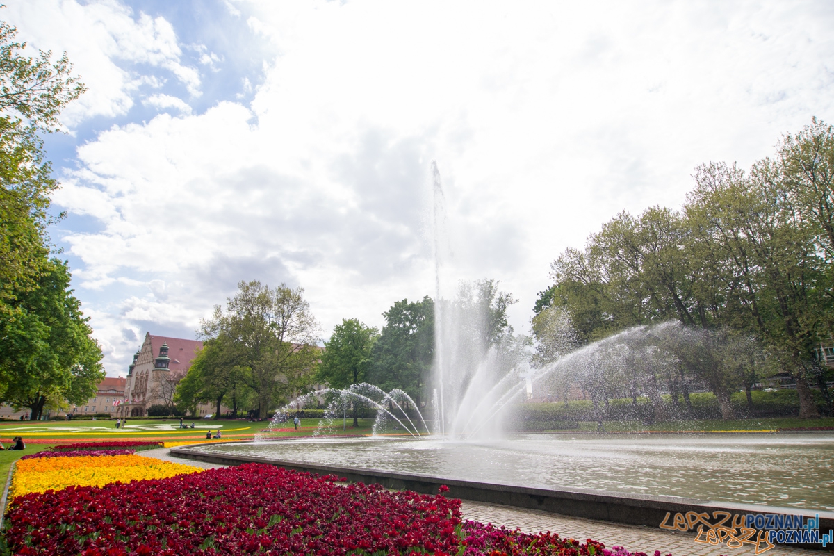 Park przed Operą Foto: lepszyPOZNAN.pl / Piotr Rychter Park przed Operą Foto: lepszyPOZNAN.pl / Piotr Rychter