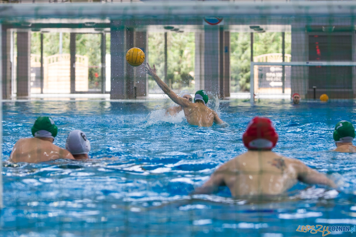 DSW Waterpolo Poznań - UKPW Legia Warszawa Foto: lepszyPOZNAN.pl / Piotr Rychter DSW Waterpolo Poznań - UKPW Legia Warszawa Foto: lepszyPOZNAN.pl / Piotr Rychter