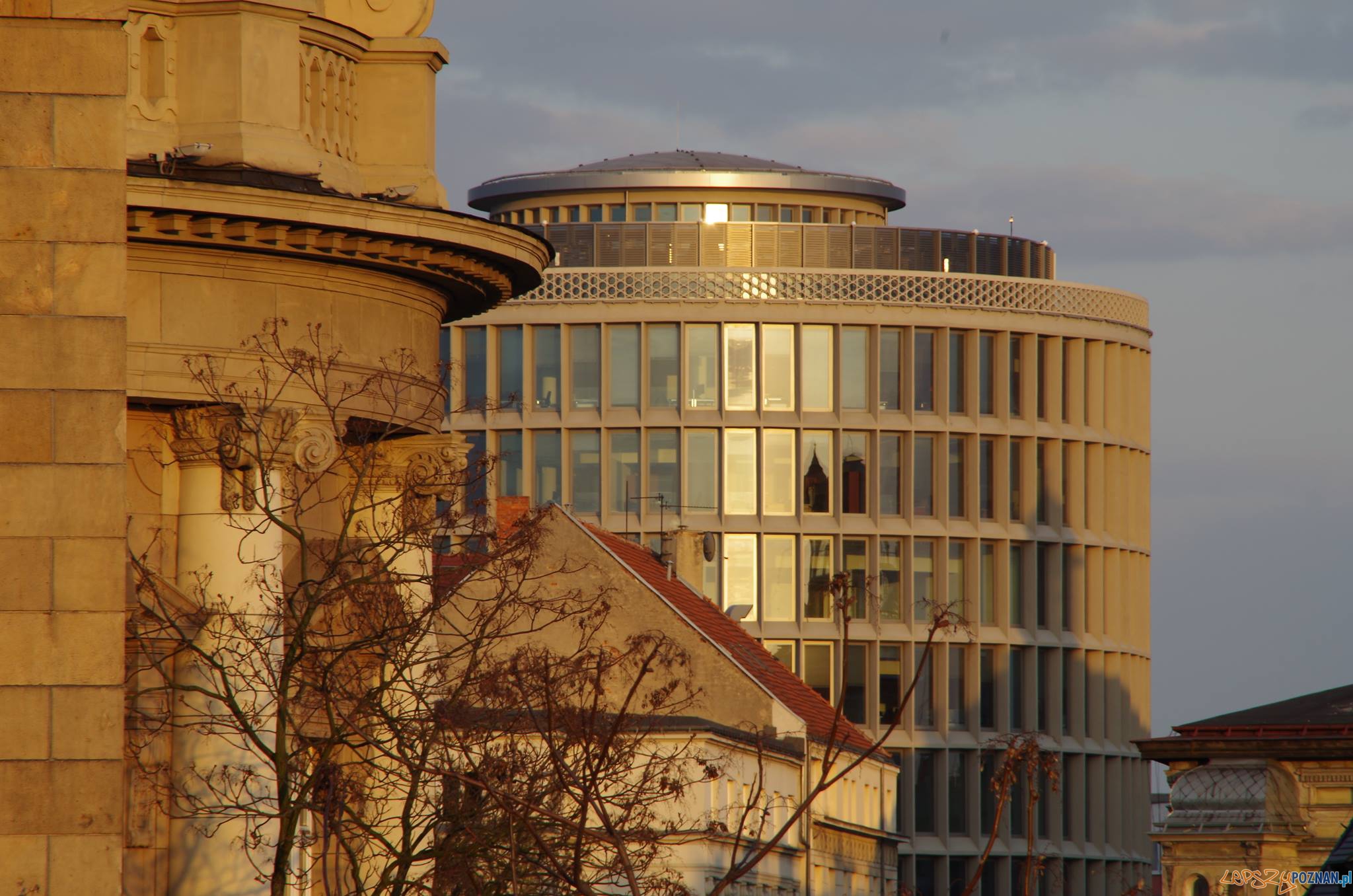 Okrąglak Foto: popoznaniu.pl Okrąglak Foto: popoznaniu.pl