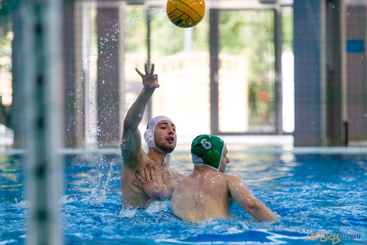DSW Waterpolo Poznań - UKPW Legia Warszawa Foto: lepszyPOZNAN.pl / Piotr Rychter DSW Waterpolo Poznań - UKPW Legia Warszawa Foto: lepszyPOZNAN.pl / Piotr Rychter
