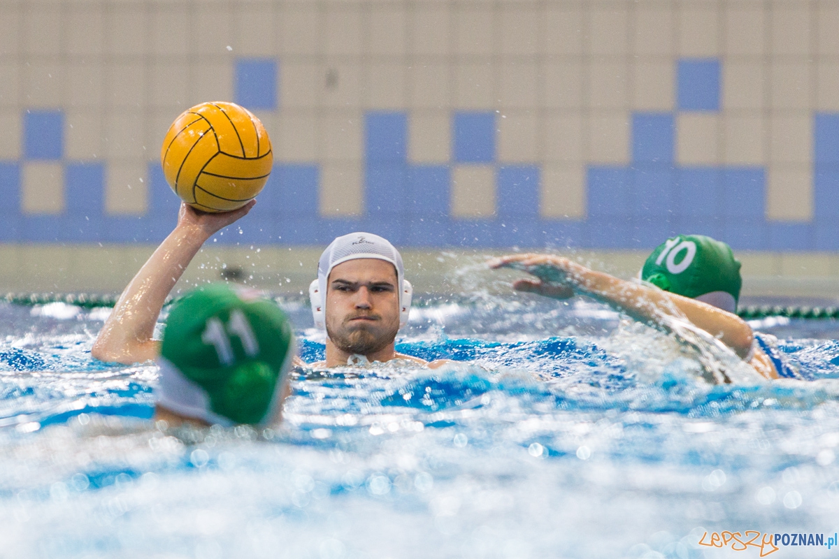 DSW Waterpolo Poznań - UKPW Legia Warszawa Foto: lepszyPOZNAN.pl / Piotr Rychter DSW Waterpolo Poznań - UKPW Legia Warszawa Foto: lepszyPOZNAN.pl / Piotr Rychter