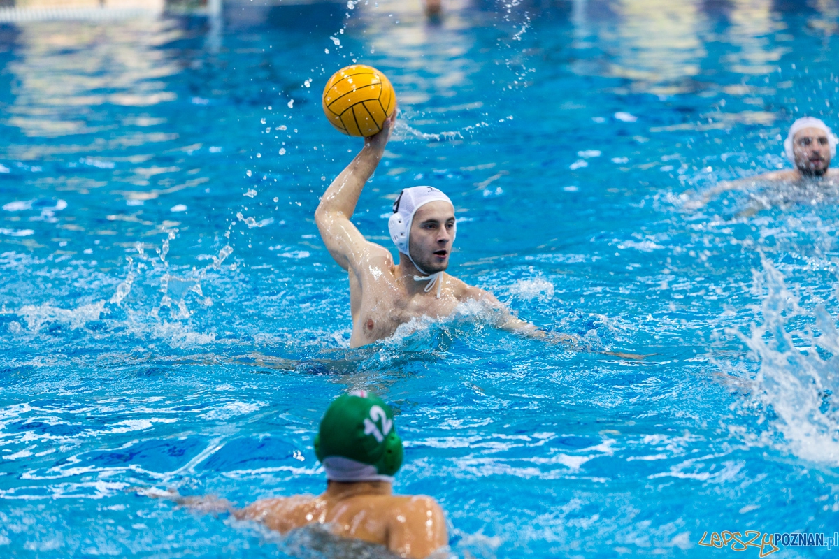 DSW Waterpolo Poznań - UKPW Legia Warszawa Foto: lepszyPOZNAN.pl / Piotr Rychter DSW Waterpolo Poznań - UKPW Legia Warszawa Foto: lepszyPOZNAN.pl / Piotr Rychter
