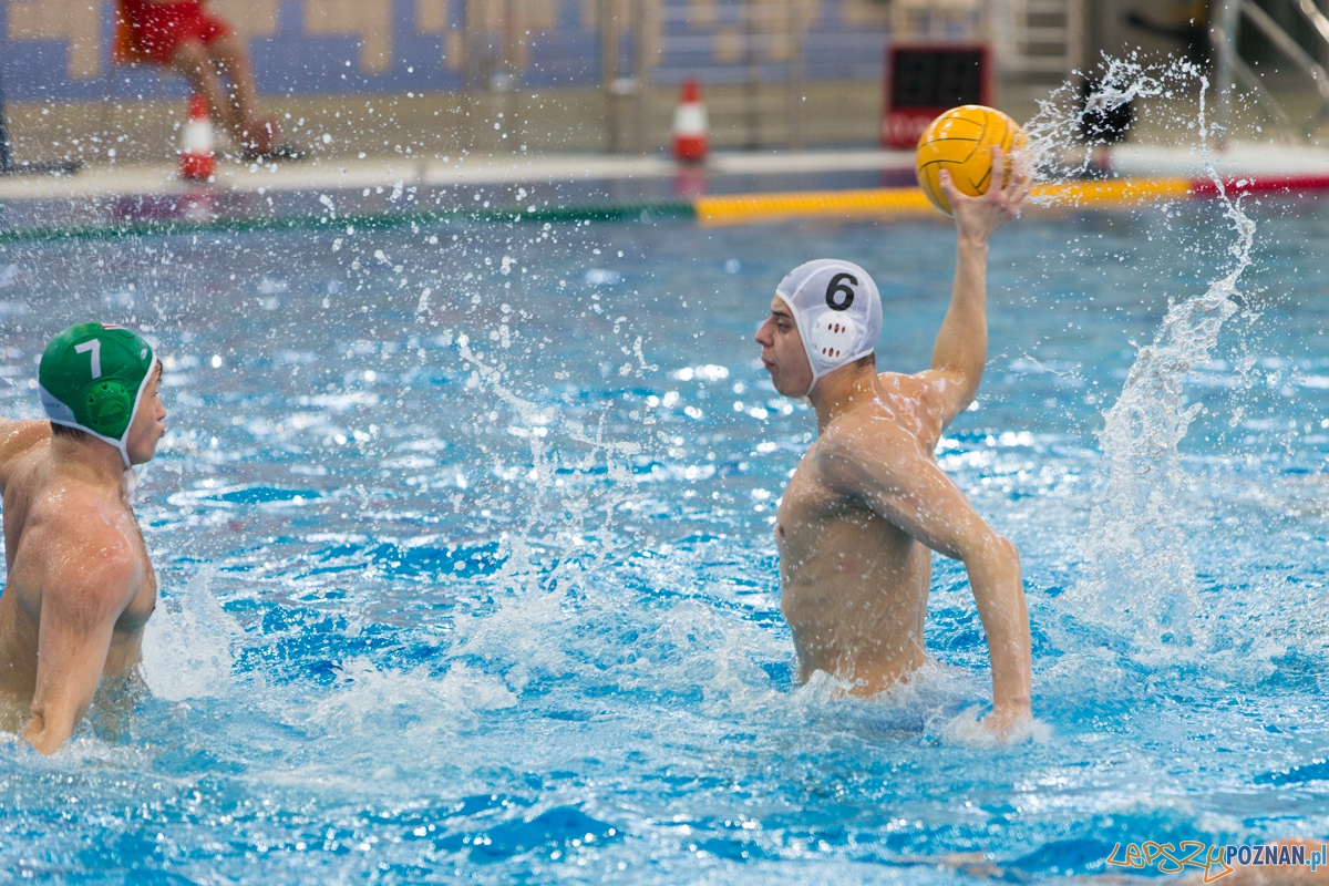 DSW Waterpolo Poznań - UKPW Legia Warszawa Foto: lepszyPOZNAN.pl / Piotr Rychter DSW Waterpolo Poznań - UKPW Legia Warszawa Foto: lepszyPOZNAN.pl / Piotr Rychter