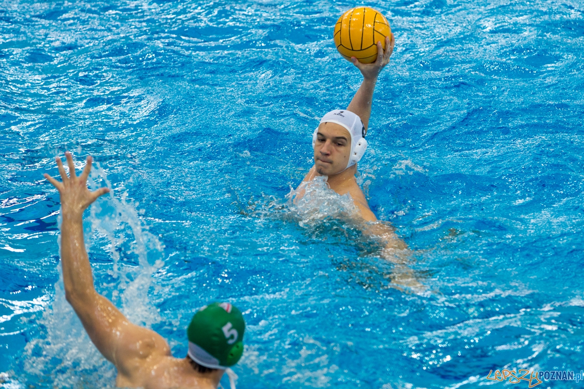 DSW Waterpolo Poznań - UKPW Legia Warszawa Foto: lepszyPOZNAN.pl / Piotr Rychter DSW Waterpolo Poznań - UKPW Legia Warszawa Foto: lepszyPOZNAN.pl / Piotr Rychter