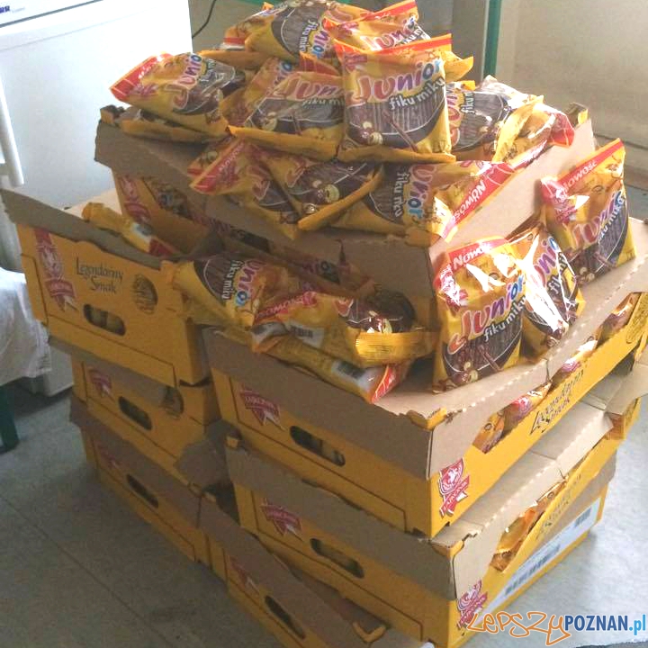 Wampiriada do piątku na Polibudzie!  Foto: NZS PP