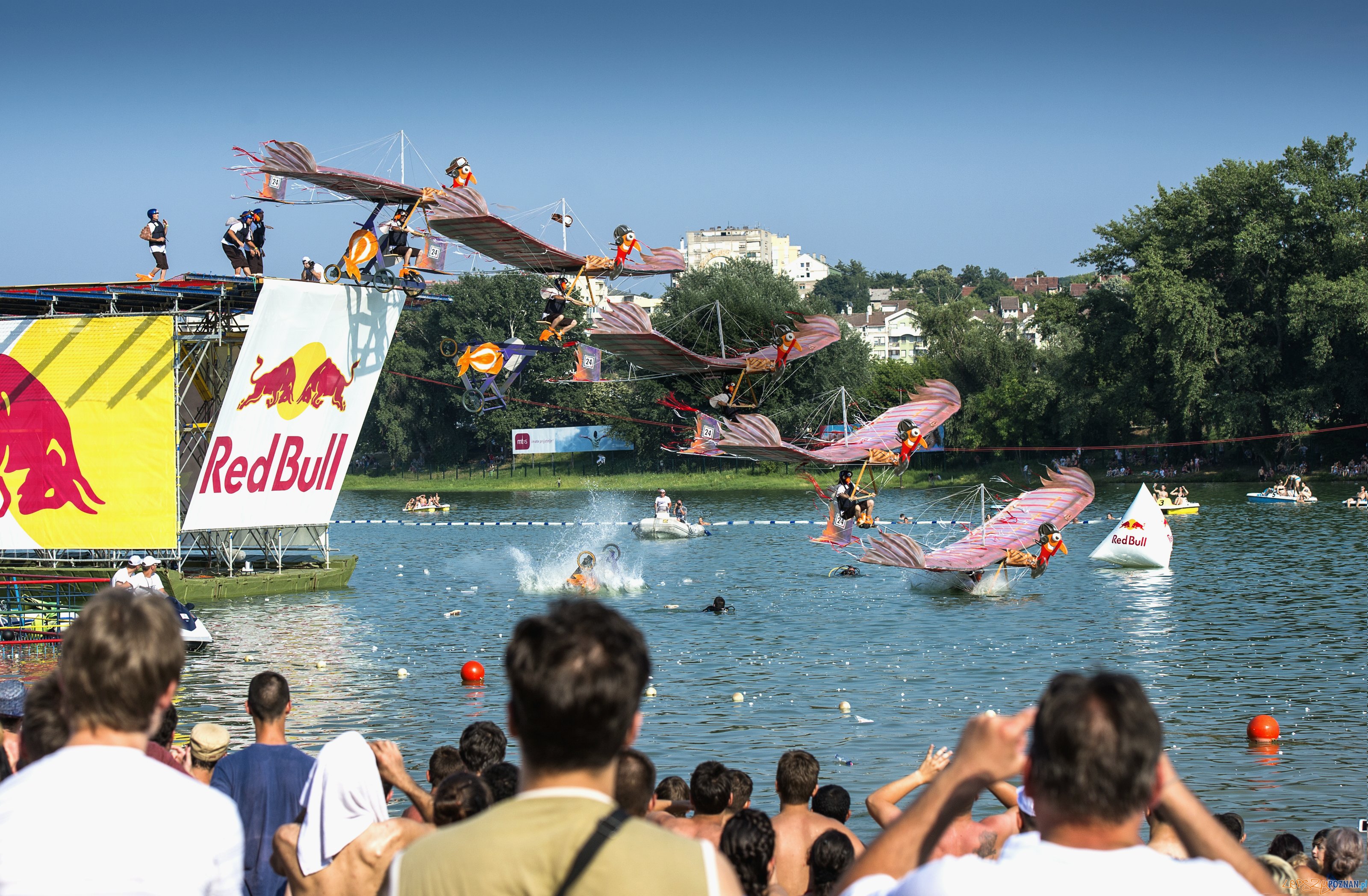 Konkurs Lotow Red Bull_Serbia_fot. Mihai Stetcu_Red Bull Content Pool Foto: Konkurs Lotow Red Bull_Serbia_fot. Mihai Stetcu_Red Bull Content Pool Foto: