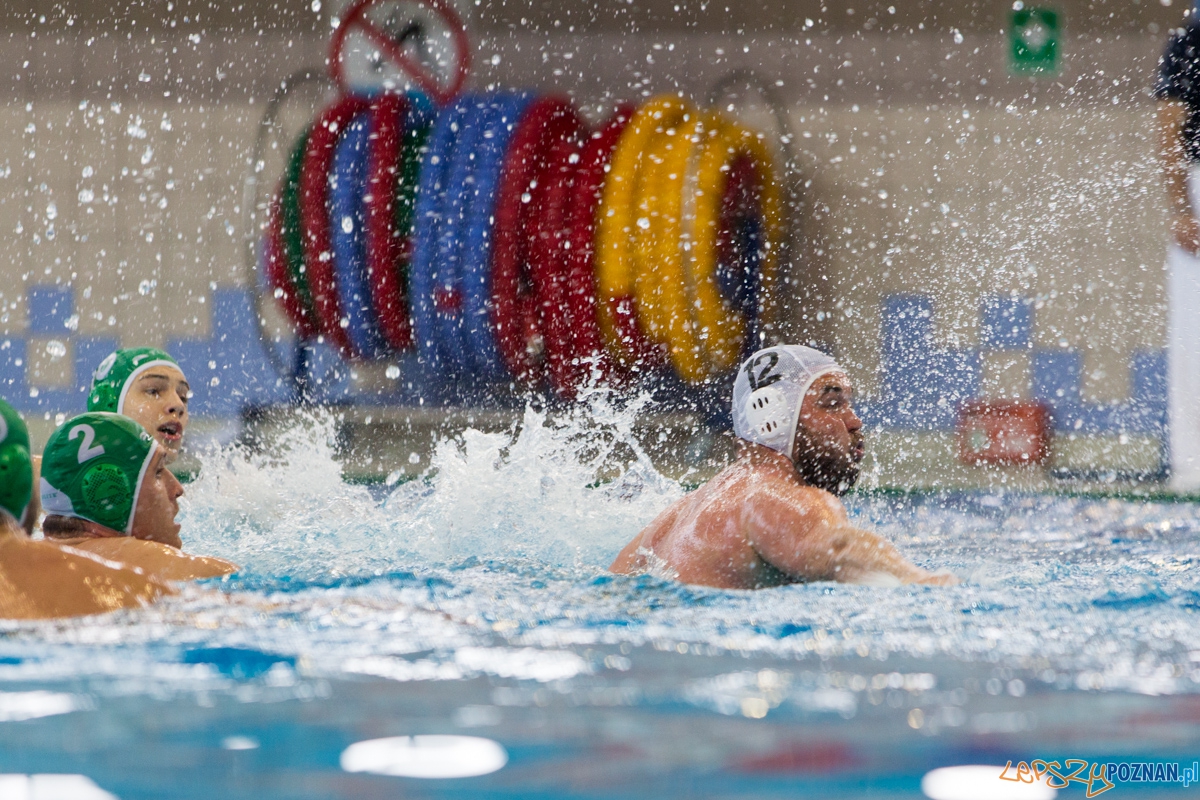 DSW Waterpolo Poznań - UKPW Legia Warszawa Foto: lepszyPOZNAN.pl / Piotr Rychter DSW Waterpolo Poznań - UKPW Legia Warszawa Foto: lepszyPOZNAN.pl / Piotr Rychter