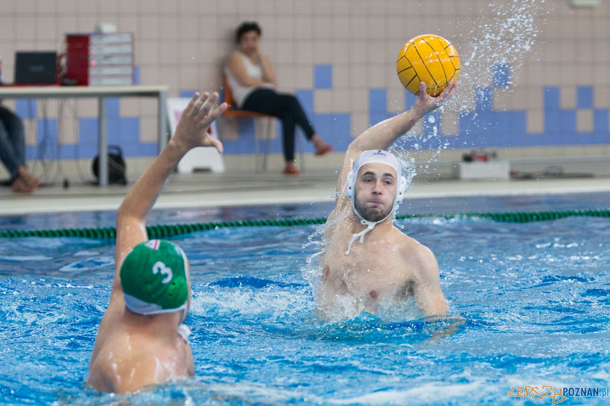 DSW Waterpolo Poznań - UKPW Legia Warszawa Foto: lepszyPOZNAN.pl / Piotr Rychter DSW Waterpolo Poznań - UKPW Legia Warszawa Foto: lepszyPOZNAN.pl / Piotr Rychter