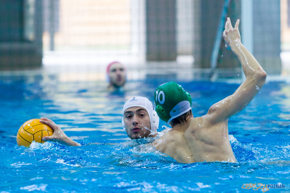 DSW Waterpolo Poznań - UKPW Legia Warszawa Foto: lepszyPOZNAN.pl / Piotr Rychter DSW Waterpolo Poznań - UKPW Legia Warszawa Foto: lepszyPOZNAN.pl / Piotr Rychter