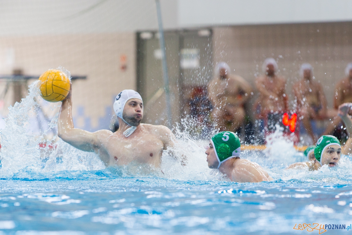 DSW Waterpolo Poznań - UKPW Legia Warszawa Foto: lepszyPOZNAN.pl / Piotr Rychter DSW Waterpolo Poznań - UKPW Legia Warszawa Foto: lepszyPOZNAN.pl / Piotr Rychter