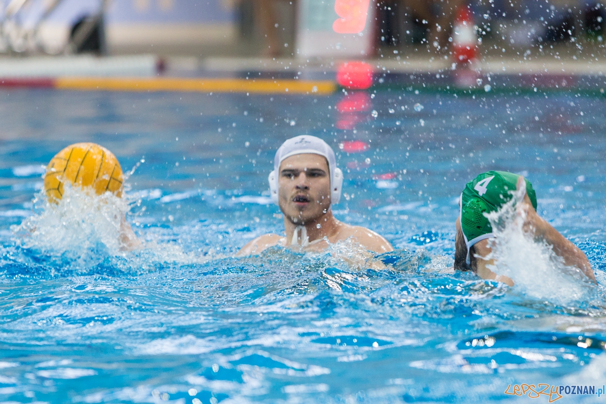 DSW Waterpolo Poznań - UKPW Legia Warszawa Foto: lepszyPOZNAN.pl / Piotr Rychter DSW Waterpolo Poznań - UKPW Legia Warszawa Foto: lepszyPOZNAN.pl / Piotr Rychter