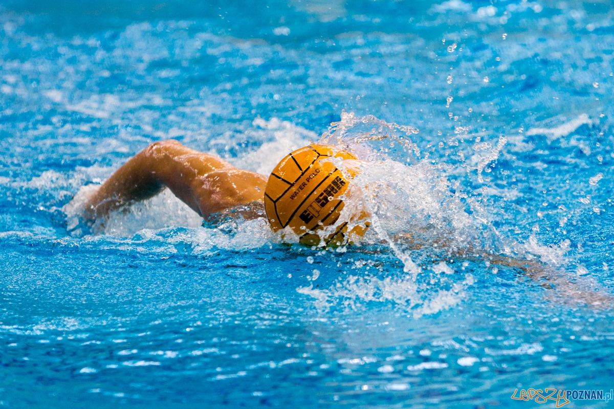 DSW Waterpolo Poznań - UKPW Legia Warszawa Foto: lepszyPOZNAN.pl / Piotr Rychter DSW Waterpolo Poznań - UKPW Legia Warszawa Foto: lepszyPOZNAN.pl / Piotr Rychter