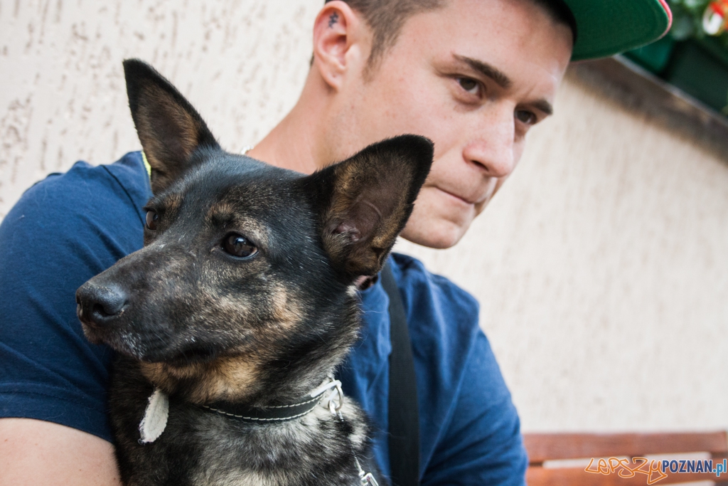 51. urodziny schroniska w Poznaniu (30.05.2015) Foto: © Karolina Kiraga 51. urodziny schroniska w Poznaniu (30.05.2015) Foto: © Karolina Kiraga