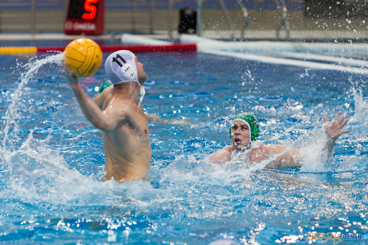 DSW Waterpolo Poznań - UKPW Legia Warszawa Foto: lepszyPOZNAN.pl / Piotr Rychter DSW Waterpolo Poznań - UKPW Legia Warszawa Foto: lepszyPOZNAN.pl / Piotr Rychter