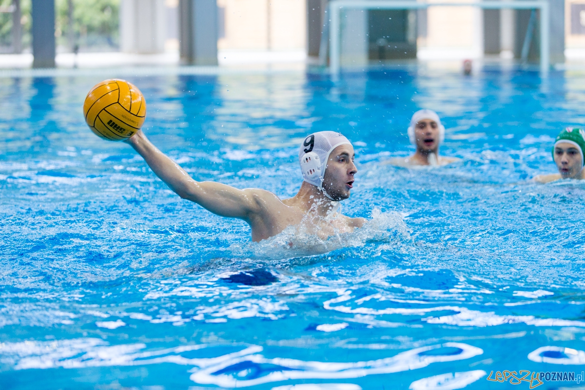 DSW Waterpolo Poznań - UKPW Legia Warszawa Foto: lepszyPOZNAN.pl / Piotr Rychter DSW Waterpolo Poznań - UKPW Legia Warszawa Foto: lepszyPOZNAN.pl / Piotr Rychter