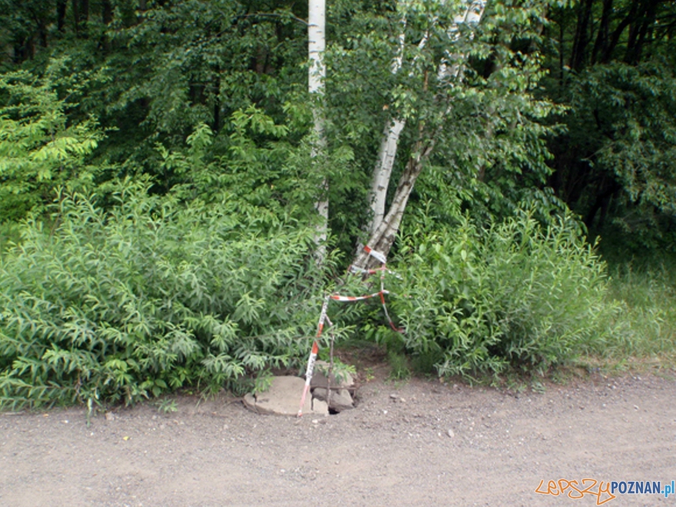Niebezpieczne studzienki Foto: Straż Miejska w Poznaniu Niebezpieczne studzienki Foto: Straż Miejska w Poznaniu