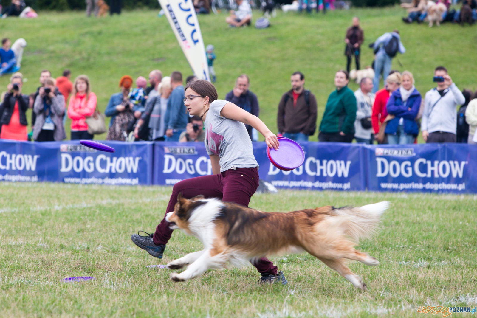 Dog Chow Disc Cup 2015 Foto: lepszyPOZNAN.pl / Piotr Rychter Dog Chow Disc Cup 2015 Foto: lepszyPOZNAN.pl / Piotr Rychter