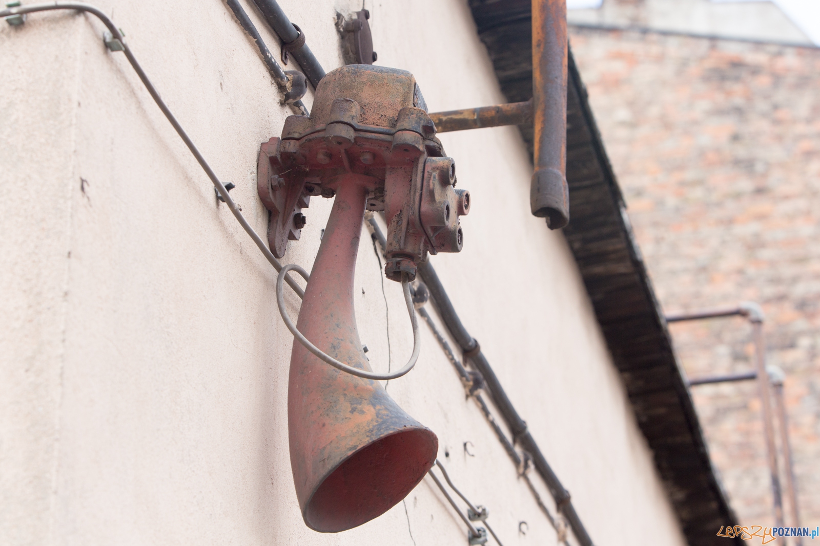 Dni Jeżyc 2015 Foto: lepszyPOZNAN.pl / Piotr Rychter Dni Jeżyc 2015 Foto: lepszyPOZNAN.pl / Piotr Rychter