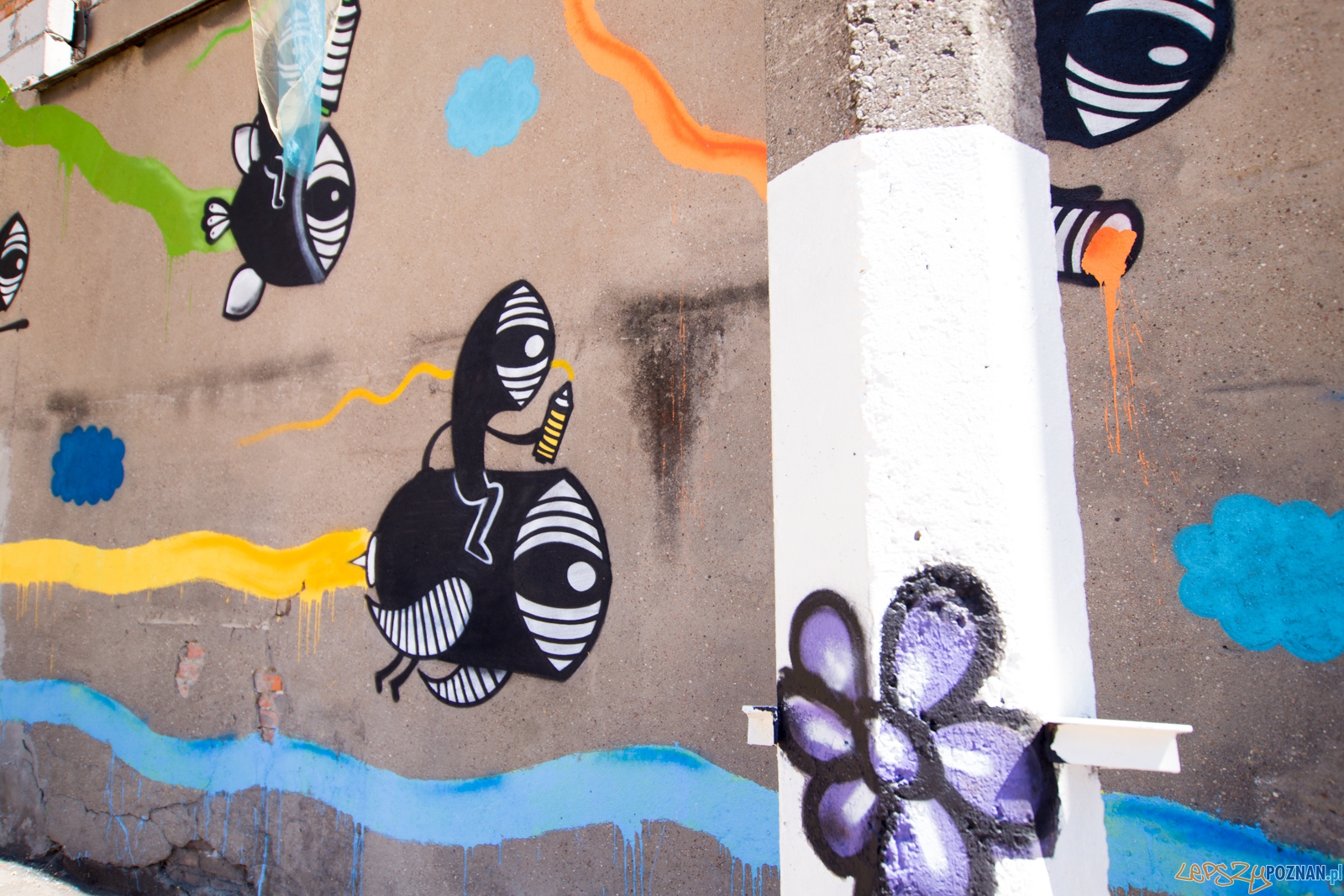 Lato na Madalinie Foto: lepszyPOZNAN.pl / Piotr Rychter Lato na Madalinie Foto: lepszyPOZNAN.pl / Piotr Rychter