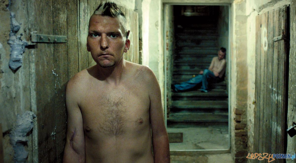 W piwnicy Foto: mat. prasowe W piwnicy Foto: mat. prasowe