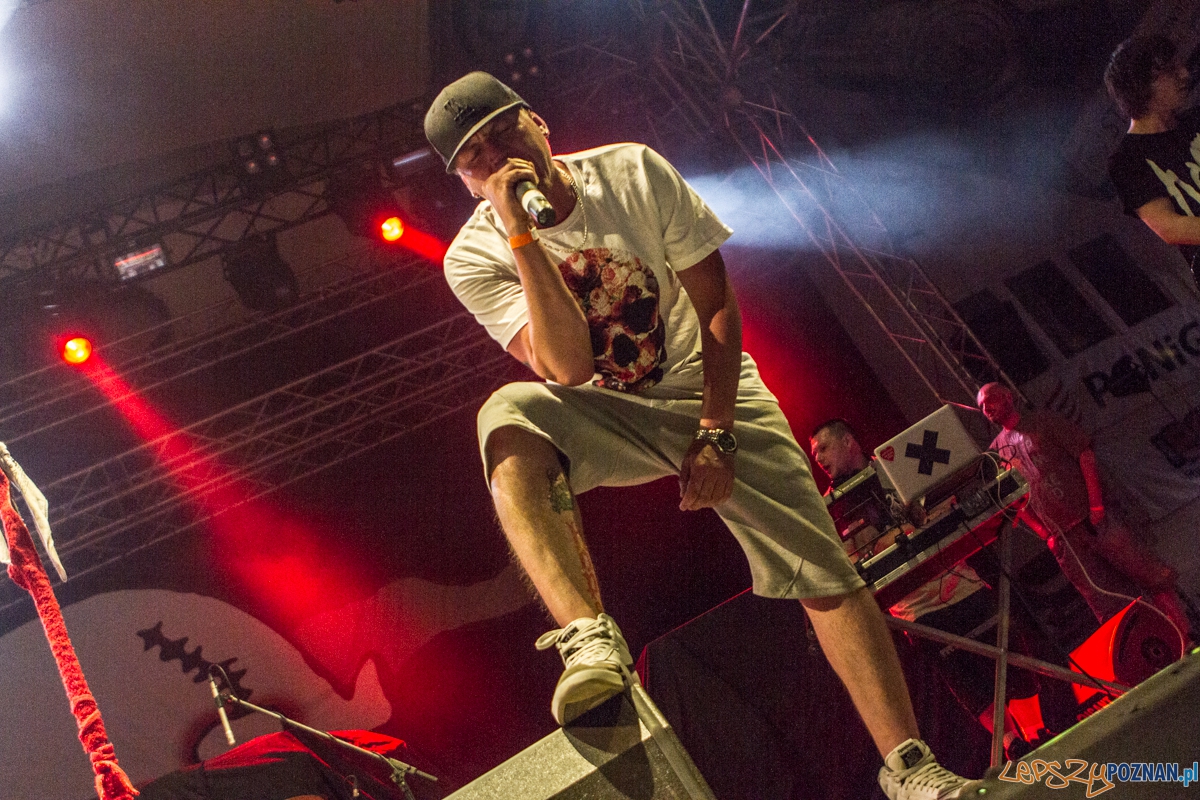 Koncert Limp Bizkit - support - Hope - Kraków 07.06.2015 r. Foto: lepszyPOZNAN.pl / Paweł Rychter Koncert Limp Bizkit - support - Hope - Kraków 07.06.2015 r. Foto: lepszyPOZNAN.pl / Paweł Rychter