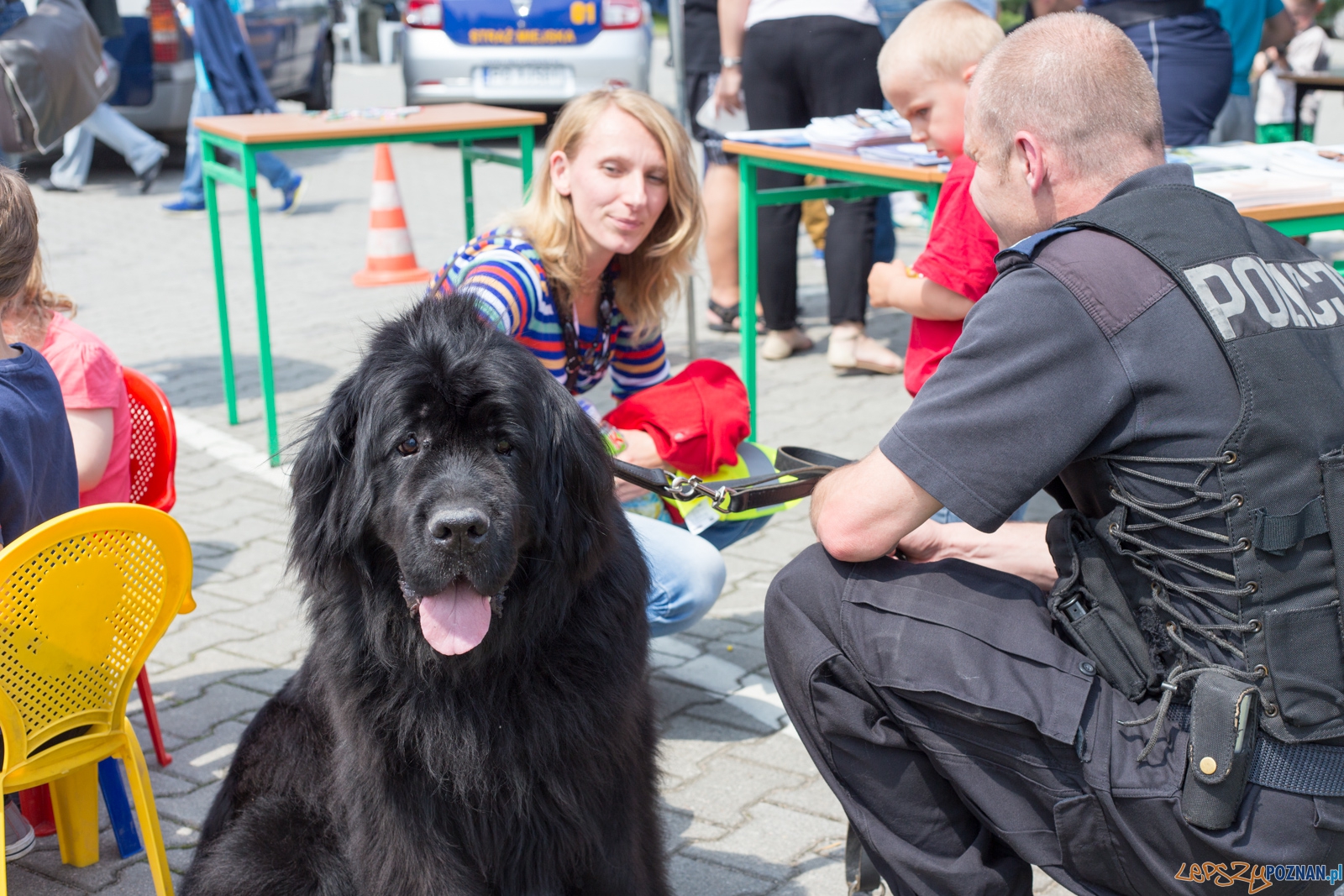 Festyn "Bezpieczne wakacje" Foto: lepszyPOZNAN.pl / Piotr Rychter Festyn "Bezpieczne wakacje" Foto: lepszyPOZNAN.pl / Piotr Rychter