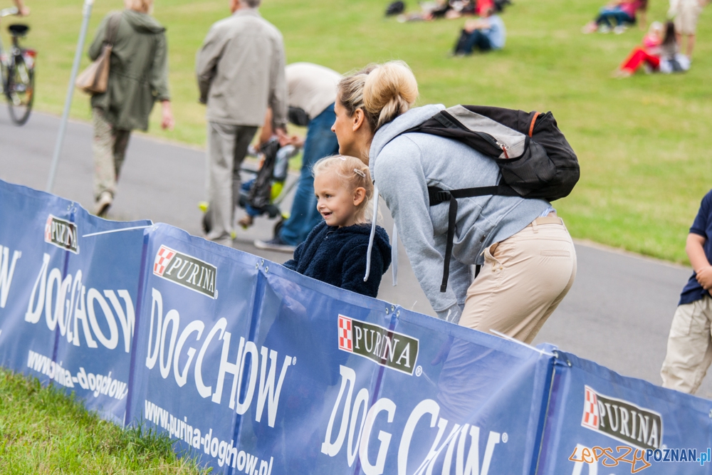 Dog Chow Disc Cup (27.06.2015) Cytadela Foto: © lepszyPOZNAN.pl / Karolina Kiraga Dog Chow Disc Cup (27.06.2015) Cytadela Foto: © lepszyPOZNAN.pl / Karolina Kiraga
