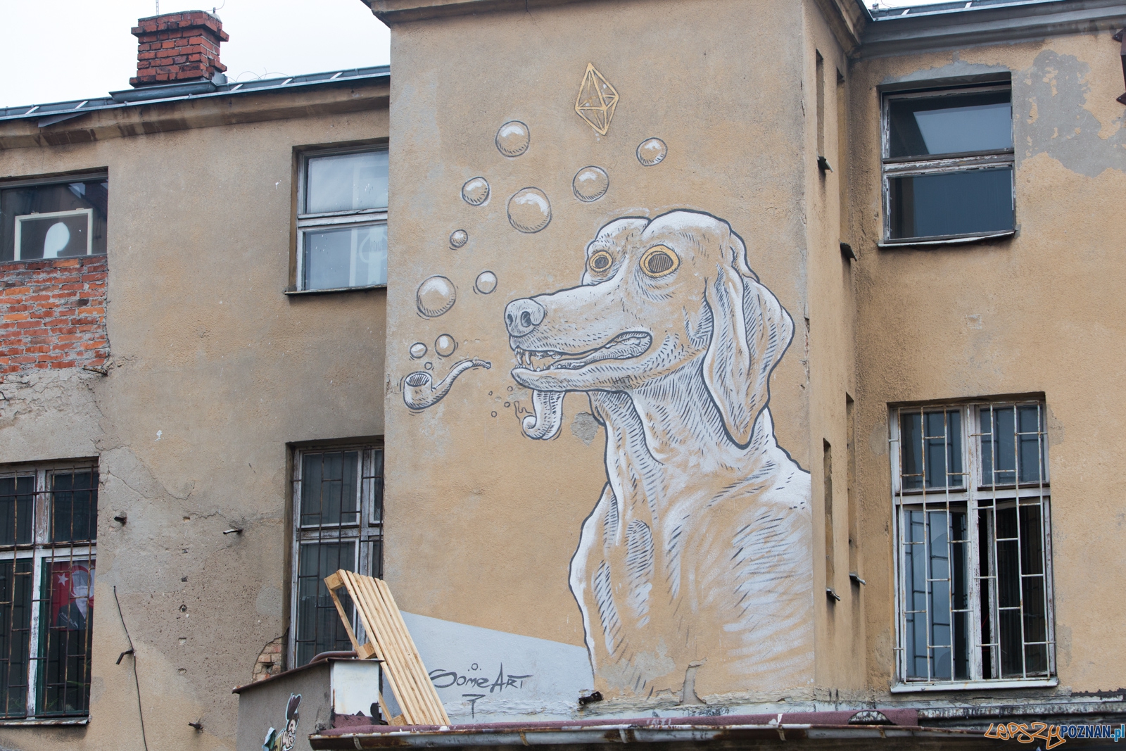 Dni Jeżyc 2015 Foto: lepszyPOZNAN.pl / Piotr Rychter Dni Jeżyc 2015 Foto: lepszyPOZNAN.pl / Piotr Rychter