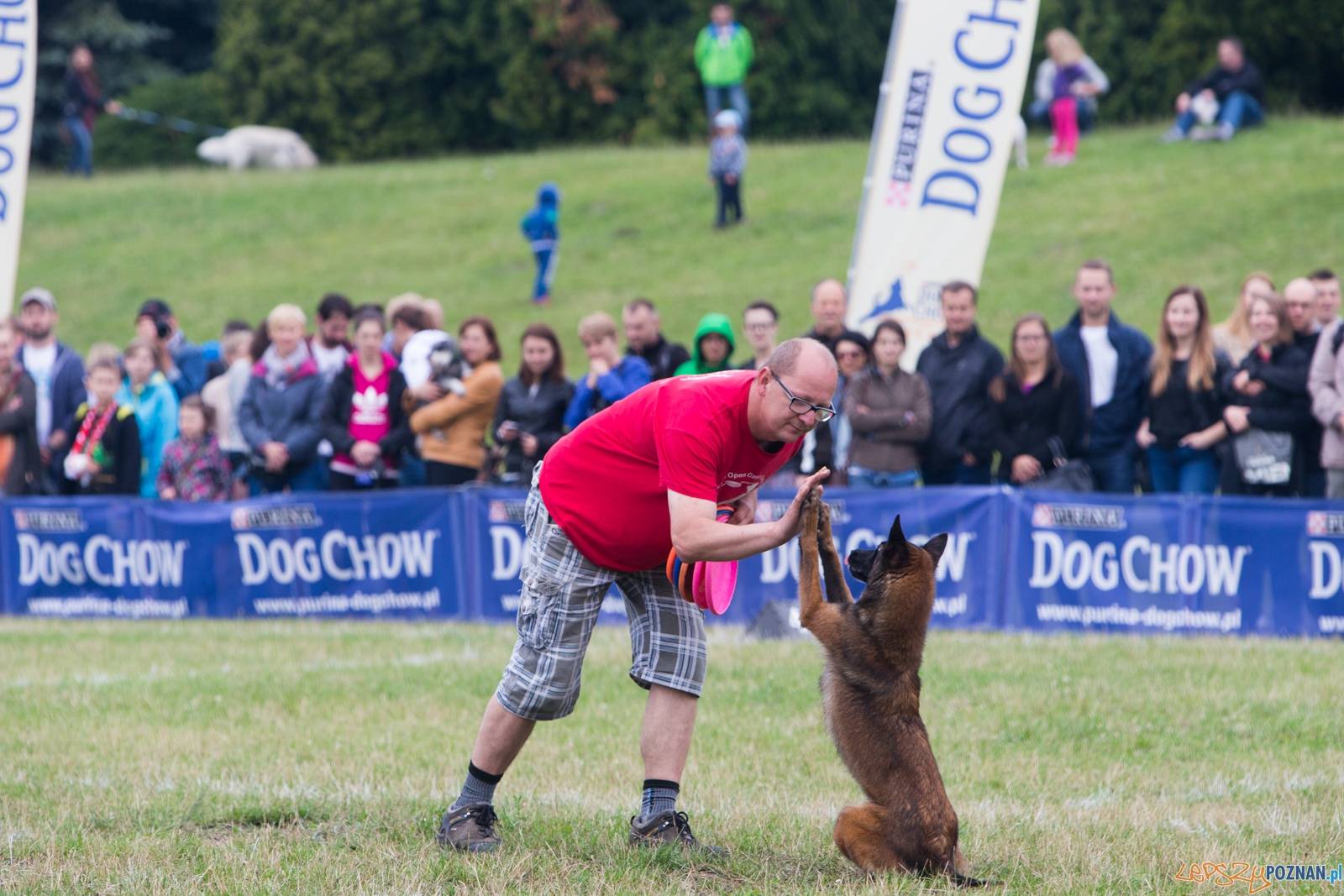 Dog Chow Disc Cup 2015 Foto: lepszyPOZNAN.pl / Piotr Rychter Dog Chow Disc Cup 2015 Foto: lepszyPOZNAN.pl / Piotr Rychter