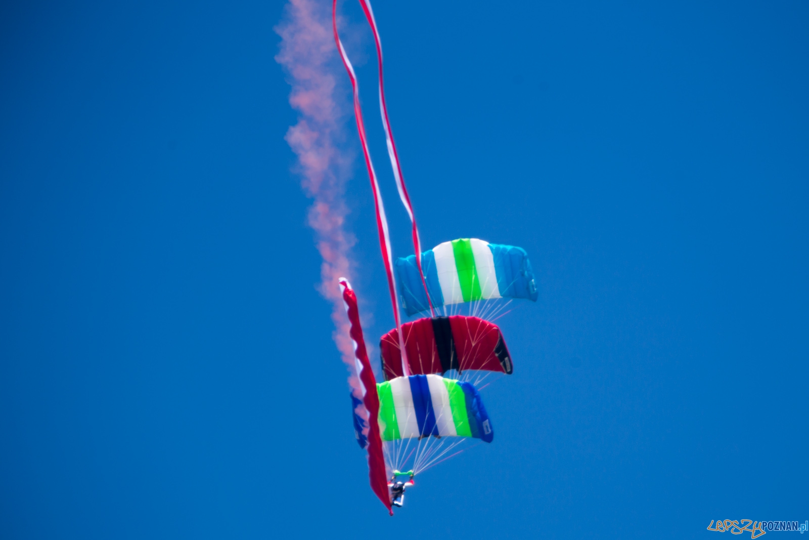 Aerofestival 2015 Foto: lepszyPOZNAN.pl /Piotr Rychter Aerofestival 2015 Foto: lepszyPOZNAN.pl /Piotr Rychter
