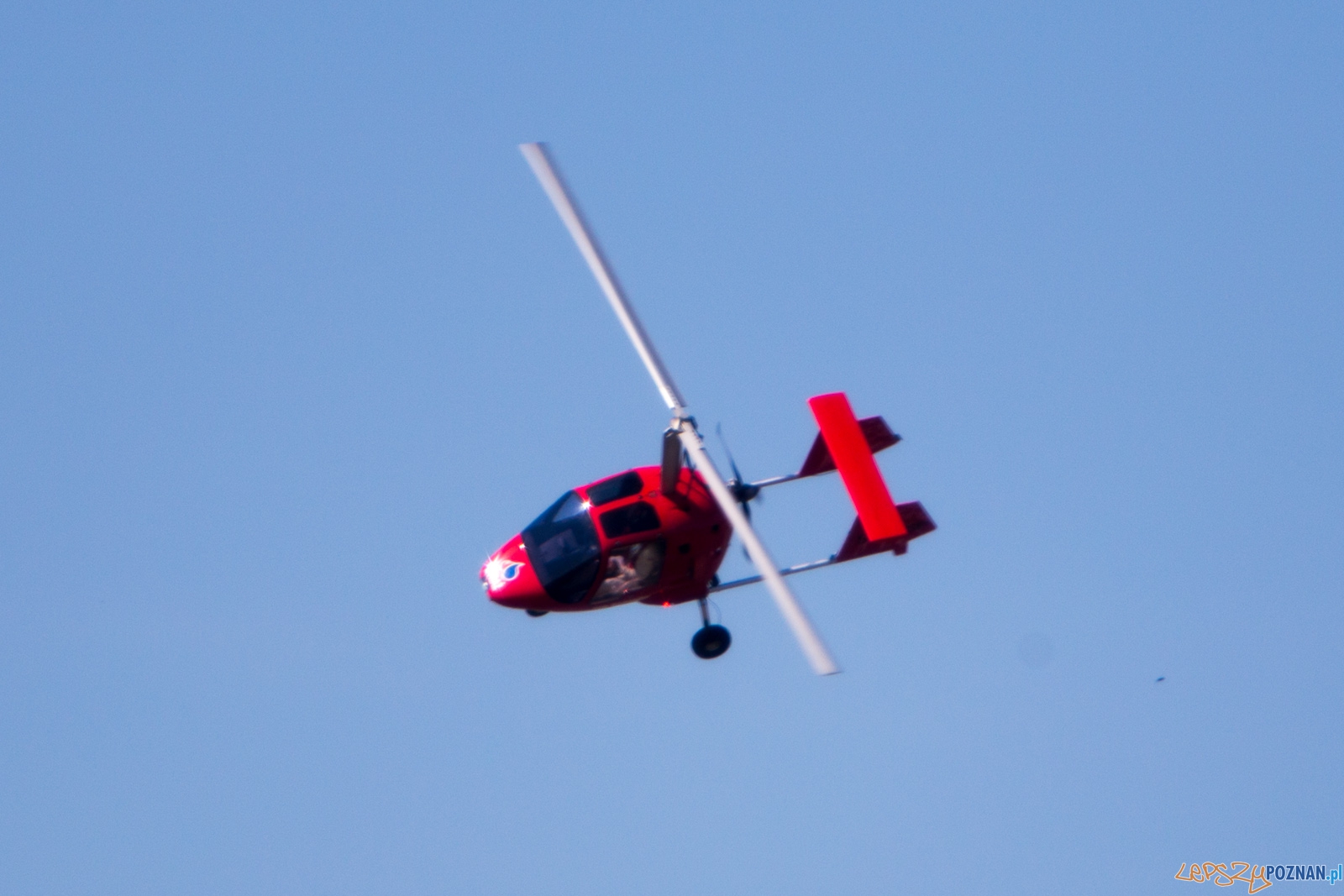 Aerofestival 2015 Foto: lepszyPOZNAN.pl /Piotr Rychter Aerofestival 2015 Foto: lepszyPOZNAN.pl /Piotr Rychter