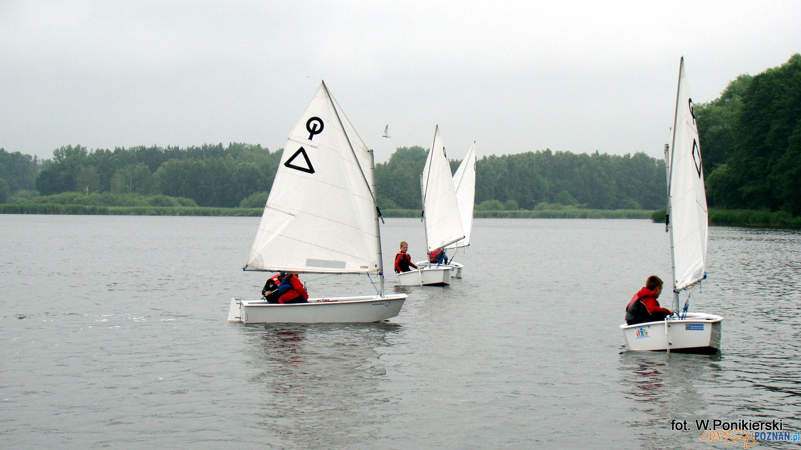 Zagle w Swarzedzu Foto: WOZŻ Zagle w Swarzedzu Foto: WOZŻ