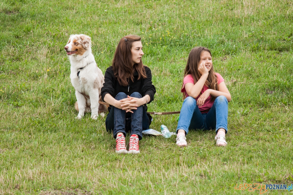 Dog Chow Disc Cup (27.06.2015) Cytadela Foto: © lepszyPOZNAN.pl / Karolina Kiraga Dog Chow Disc Cup (27.06.2015) Cytadela Foto: © lepszyPOZNAN.pl / Karolina Kiraga