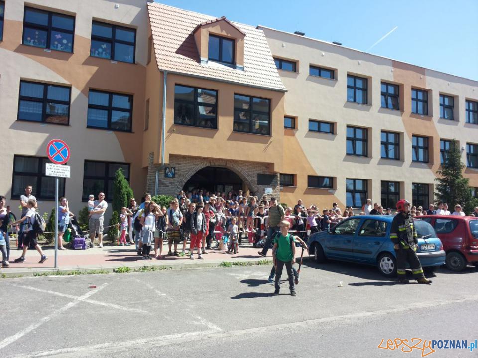 Strażacy bez sikawek, ale z ptakiem Foto: JRG-8 Strażacy bez sikawek, ale z ptakiem Foto: JRG-8