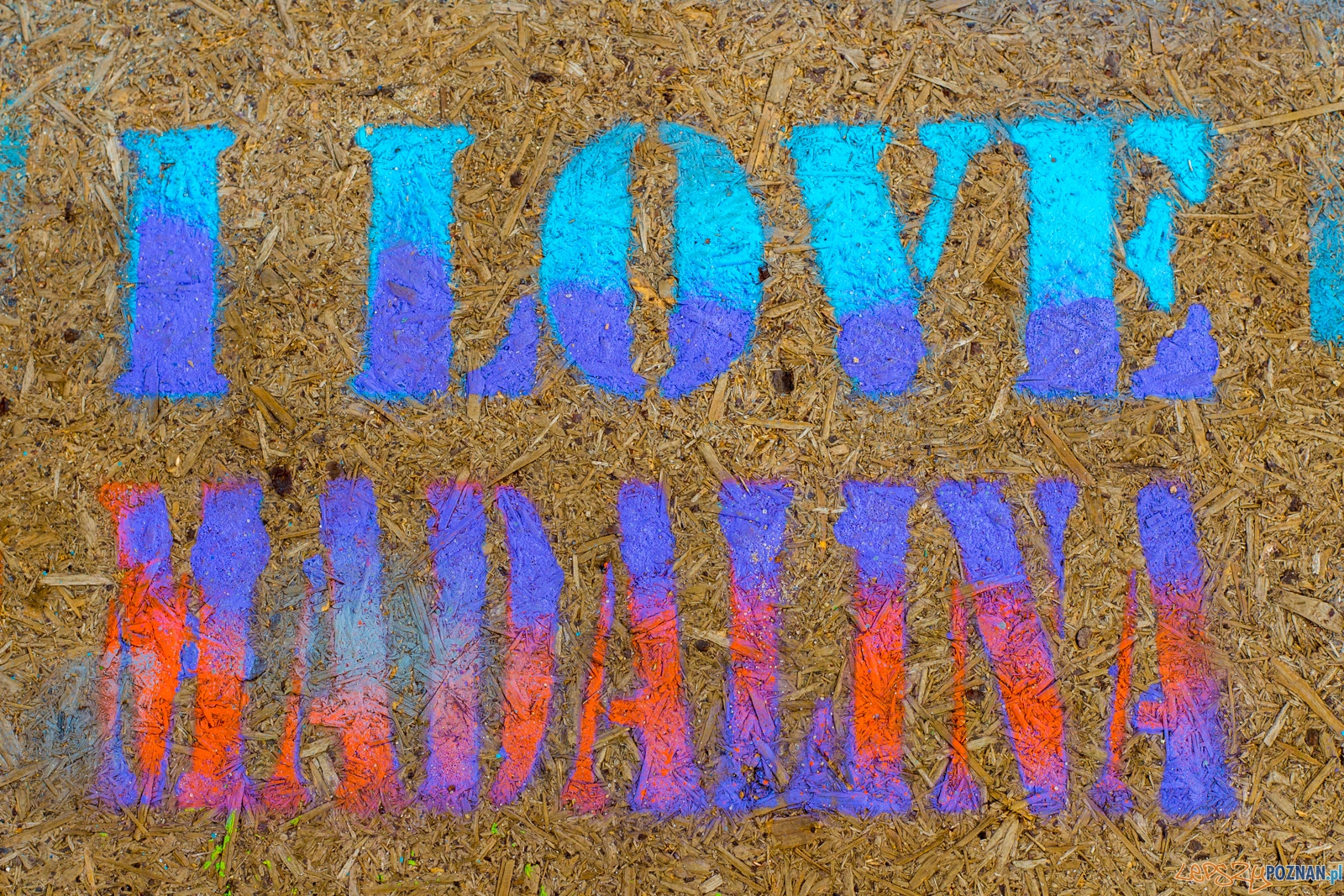 Lato na Madalinie - Średniowieczna sobota Foto: lepszyPOZNAN.pl / Piotr Rychter Lato na Madalinie - Średniowieczna sobota Foto: lepszyPOZNAN.pl / Piotr Rychter