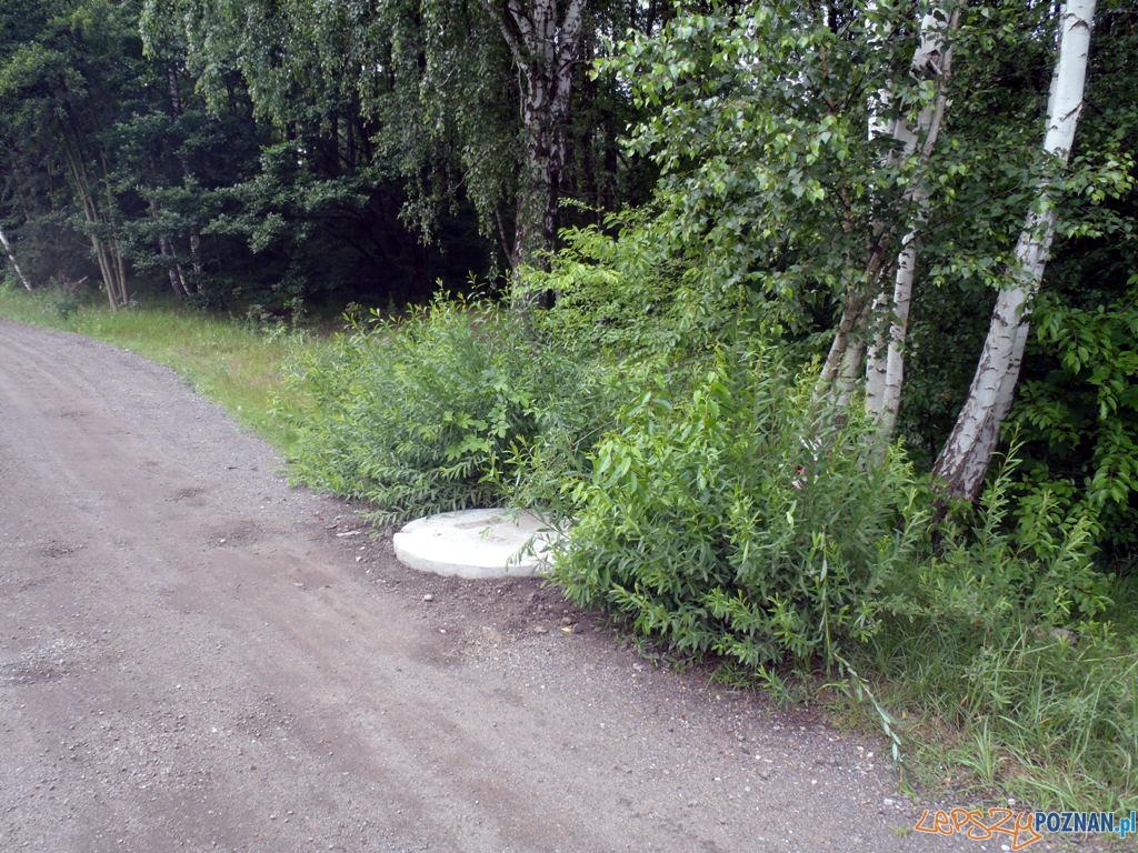 Niebezpieczne studzienki Foto: Straż Miejska w Poznaniu Niebezpieczne studzienki Foto: Straż Miejska w Poznaniu
