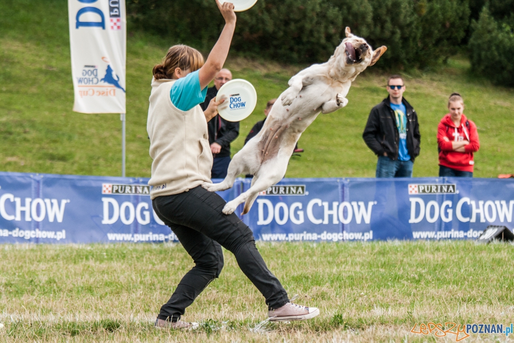 Dog Chow Disc Cup (27.06.2015) Cytadela Foto: © lepszyPOZNAN.pl / Karolina Kiraga Dog Chow Disc Cup (27.06.2015) Cytadela Foto: © lepszyPOZNAN.pl / Karolina Kiraga
