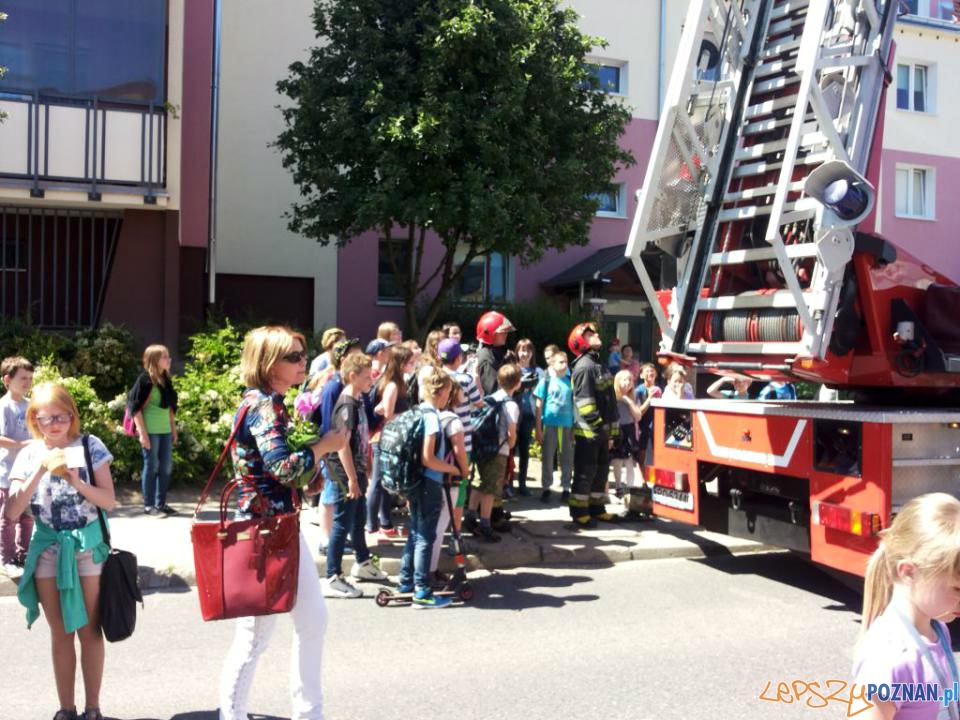 Strażacy bez sikawek, ale z ptakiem Foto: JRG-8 Strażacy bez sikawek, ale z ptakiem Foto: JRG-8