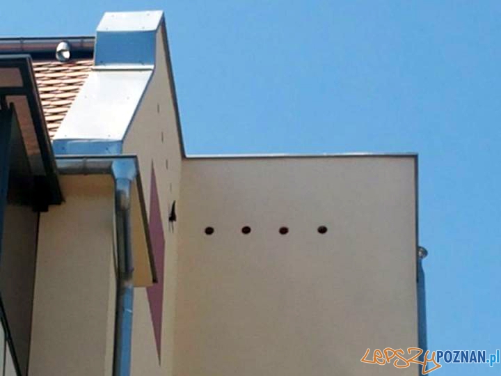 Strażacy bez sikawek, ale z ptakiem Foto: JRG-8 Strażacy bez sikawek, ale z ptakiem Foto: JRG-8