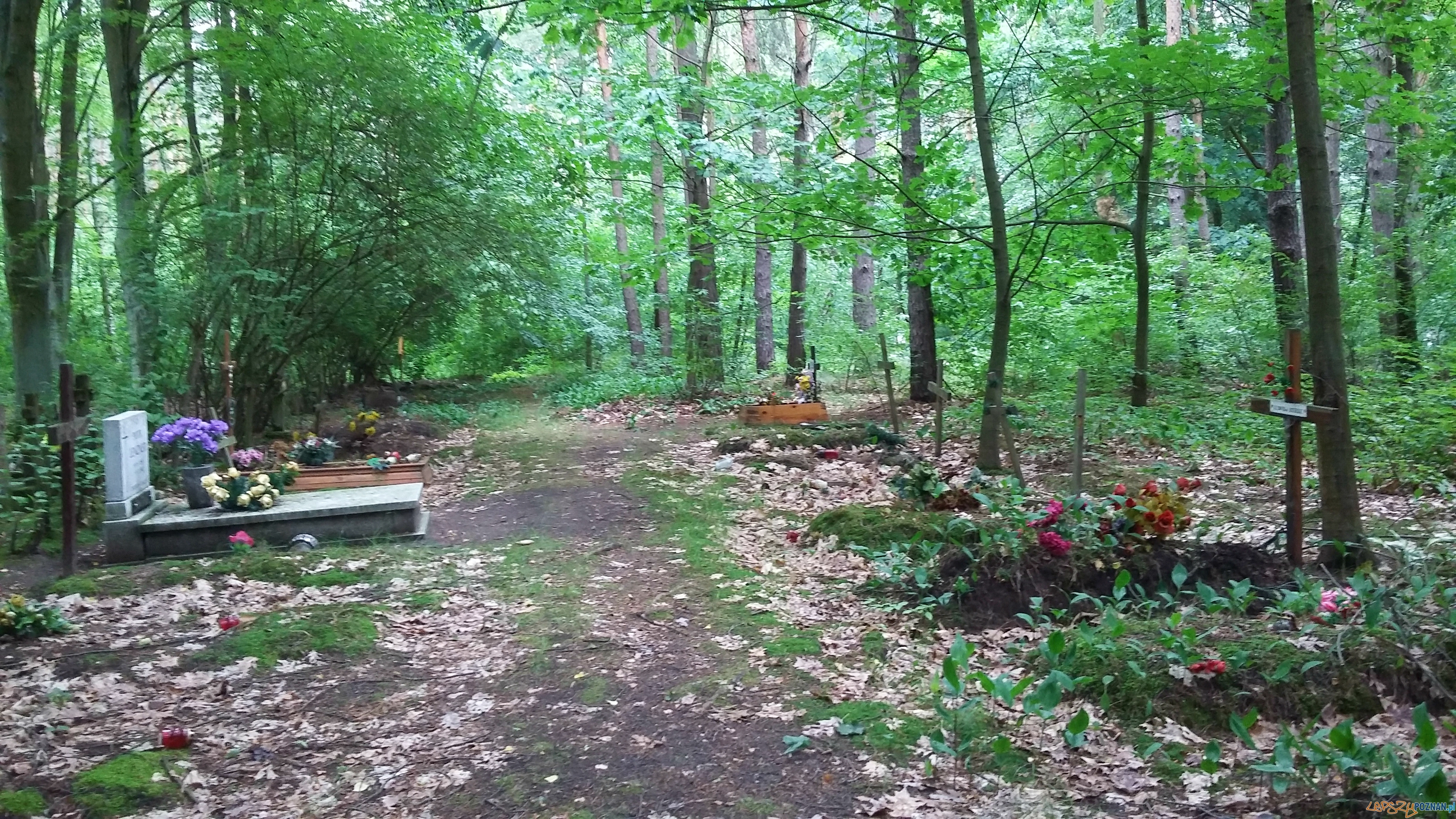 Osiedlowy Rajd Rowerowy szlakiem okolicznych historii Foto: fb.com/poznan.antoninek Osiedlowy Rajd Rowerowy szlakiem okolicznych historii Foto: fb.com/poznan.antoninek