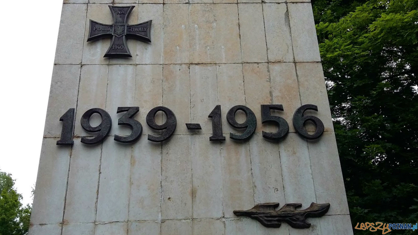 SZYBKA MIGAWKA - Czerwiec 1956 Foto: lepszyPOZNAN.pl / tab SZYBKA MIGAWKA - Czerwiec 1956 Foto: lepszyPOZNAN.pl / tab