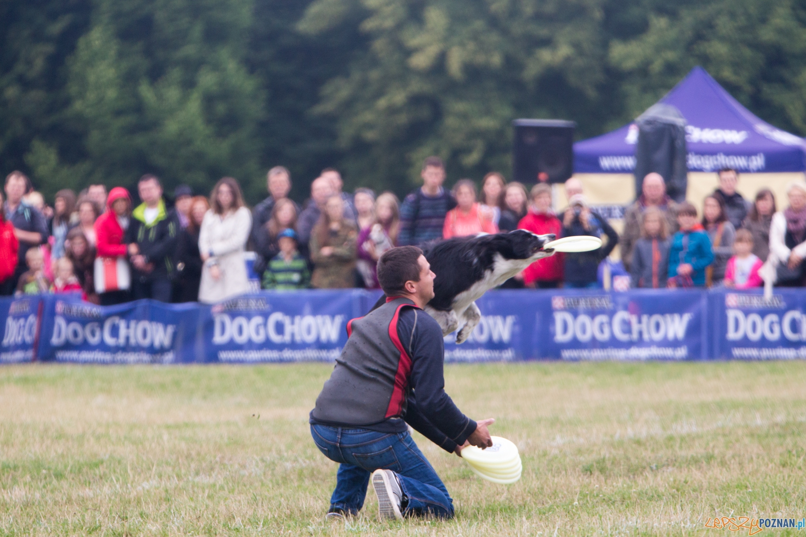 Dog Chow Disc Cup 2015 Foto: lepszyPOZNAN.pl / Piotr Rychter Dog Chow Disc Cup 2015 Foto: lepszyPOZNAN.pl / Piotr Rychter