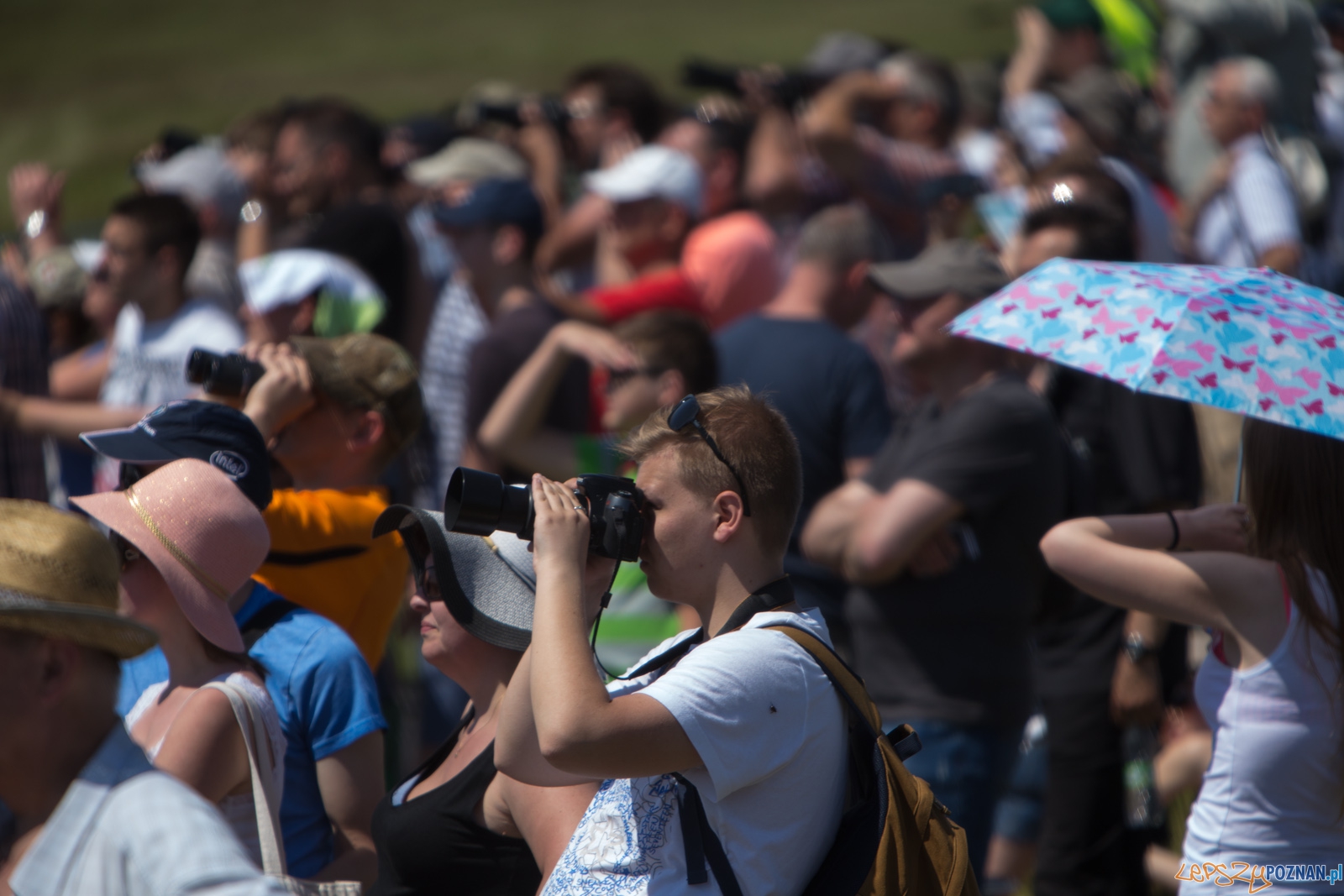 Aerofestival 2015 Foto: lepszyPOZNAN.pl /Piotr Rychter Aerofestival 2015 Foto: lepszyPOZNAN.pl /Piotr Rychter