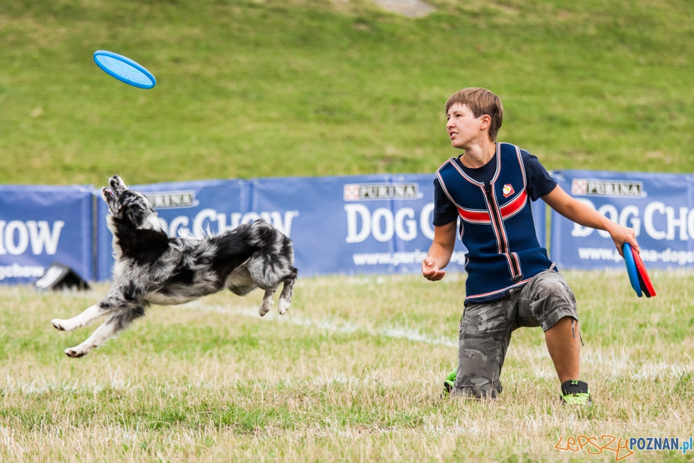 Dog Chow Disc Cup (27.06.2015) Cytadela Foto: © lepszyPOZNAN.pl / Karolina Kiraga Dog Chow Disc Cup (27.06.2015) Cytadela Foto: © lepszyPOZNAN.pl / Karolina Kiraga