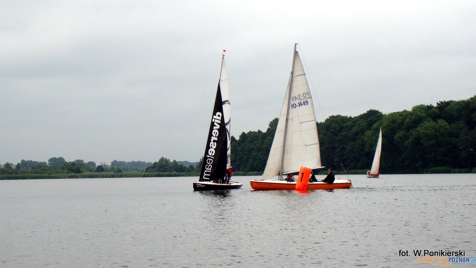 Zagle w Swarzedzu Foto: WOZŻ Zagle w Swarzedzu Foto: WOZŻ